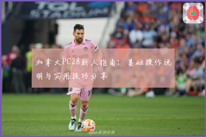 加拿大PC28新人指南：基础操作说明与实用技巧分享