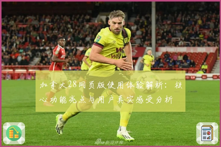 加拿大28网页版使用体验解析：核心功能亮点与用户真实感受分析