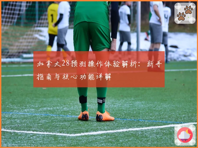 加拿大28预测操作体验解析：新手指南与核心功能详解