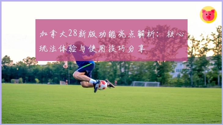 加拿大28新版功能亮点解析：核心玩法体验与使用技巧分享