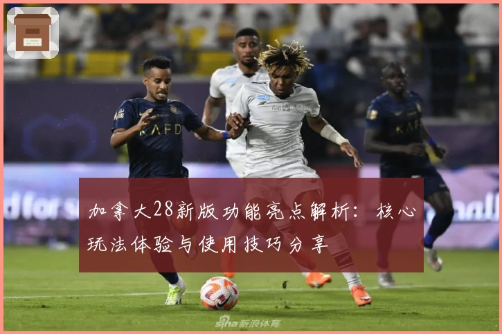 加拿大28新版功能亮点解析：核心玩法体验与使用技巧分享