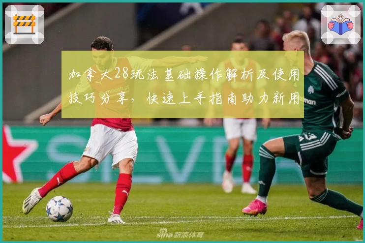 加拿大28玩法基础操作解析及使用技巧分享，快速上手指南助力新用户轻松掌握