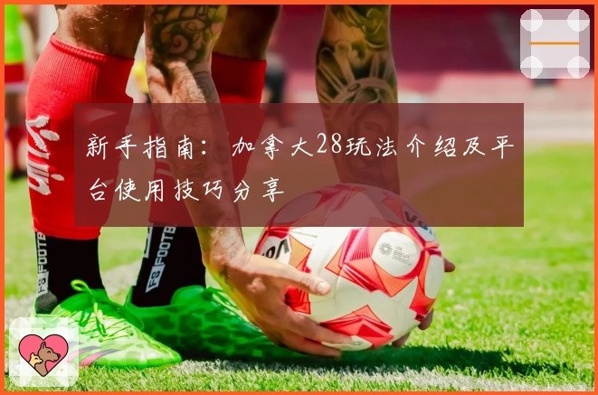 新手指南:加拿大28玩法介绍及平台使用技巧分享