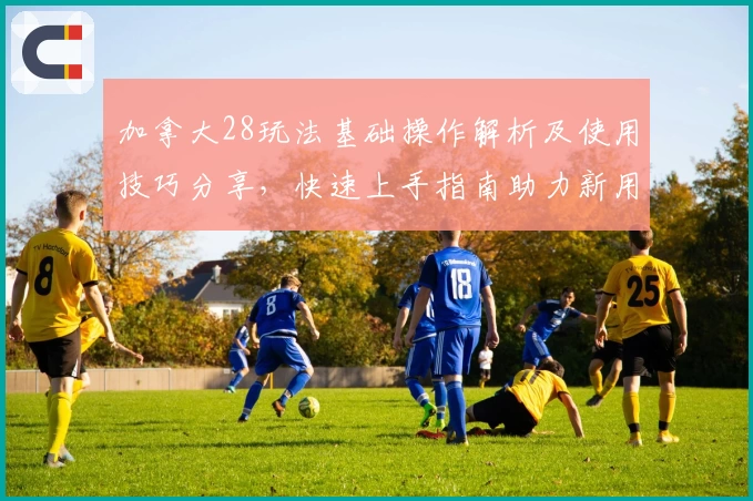 加拿大28玩法基础操作解析及使用技巧分享，快速上手指南助力新用户轻松掌握