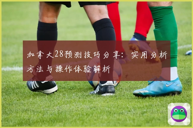 加拿大28预测技巧分享：实用分析方法与操作体验解析