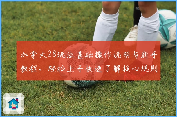 加拿大28玩法基础操作说明与新手教程，轻松上手快速了解核心规则与特点
