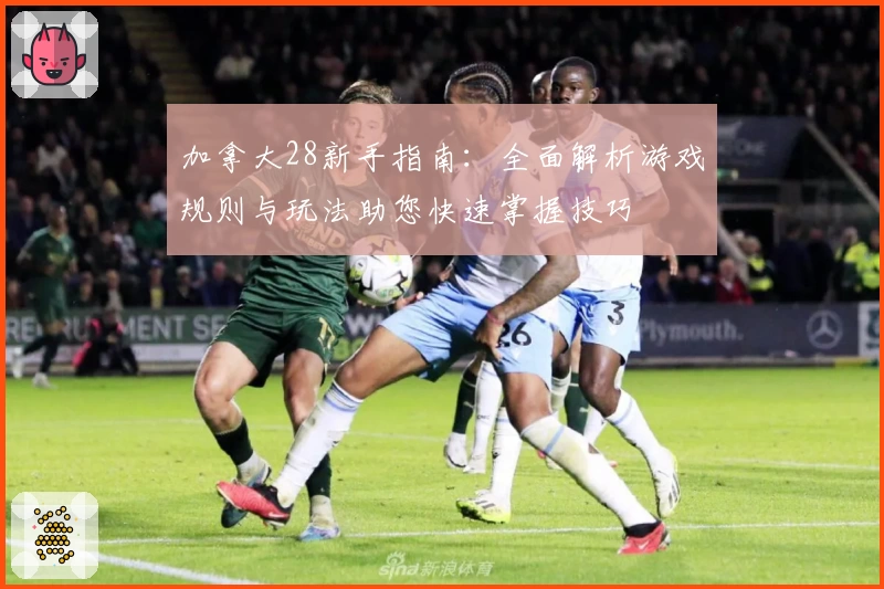 加拿大28新手指南：全面解析游戏规则与玩法助您快速掌握技巧