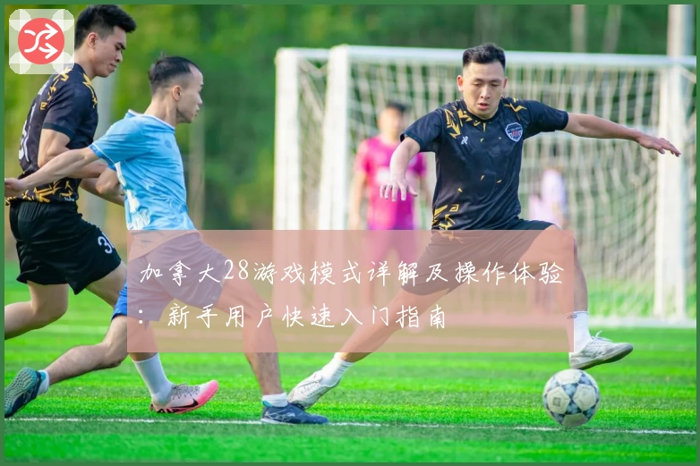 加拿大28游戏模式详解及操作体验：新手用户快速入门指南