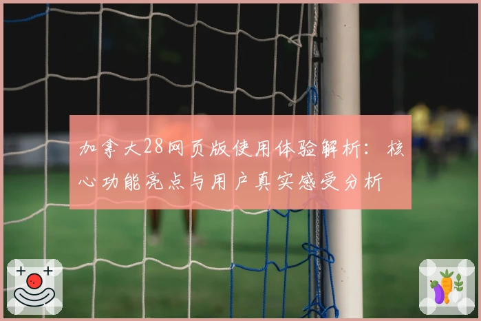 加拿大28网页版使用体验解析：核心功能亮点与用户真实感受分析