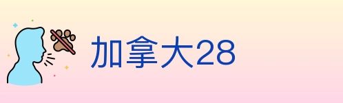 加拿大28 Logo